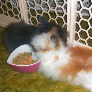 Meet your Posher, Kiya